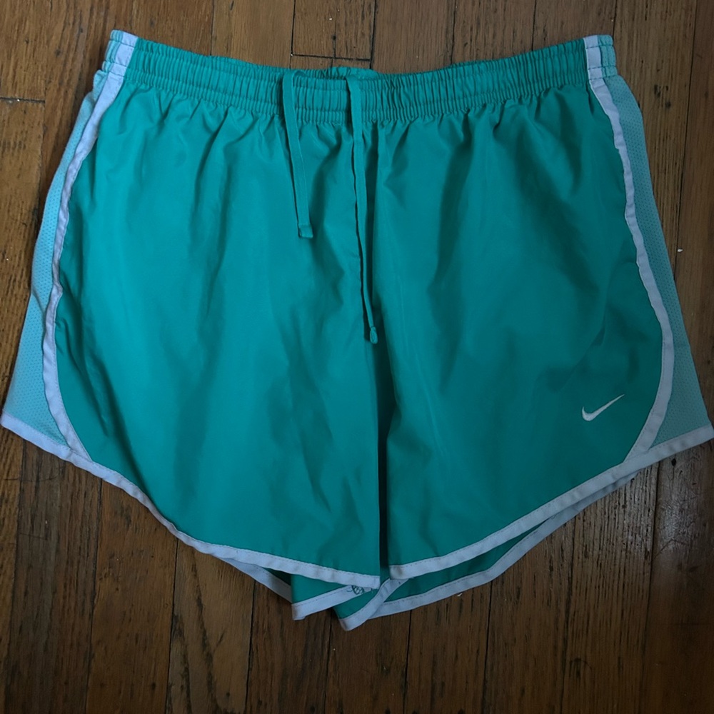 Nike Aqua Running Shorts